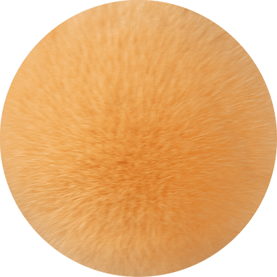 Mink fur skin dyed yellow