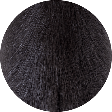 Mink fur skin